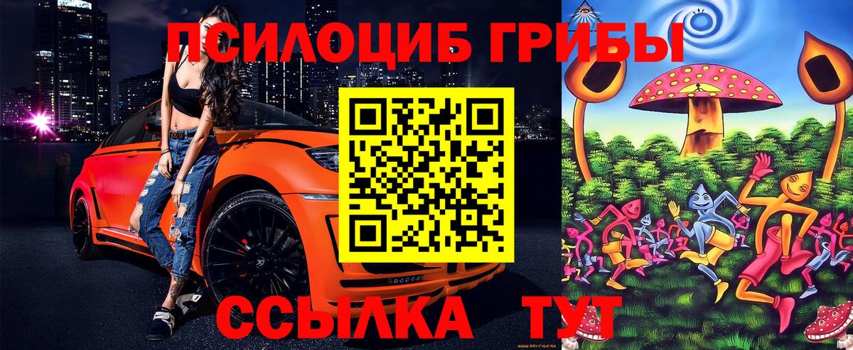 Щёлково  Псилоцибиновые грибы Psilocybine cubensis  Вход с VPN 